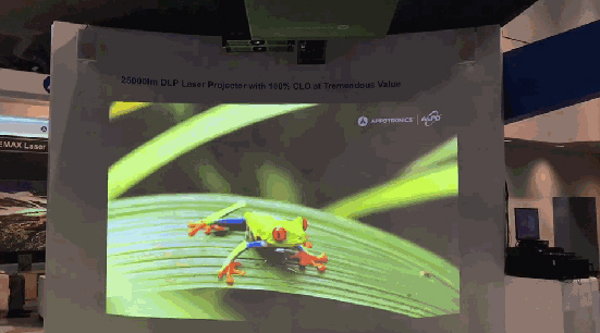 1553776965406873.jpg 1553776965406873.jpg